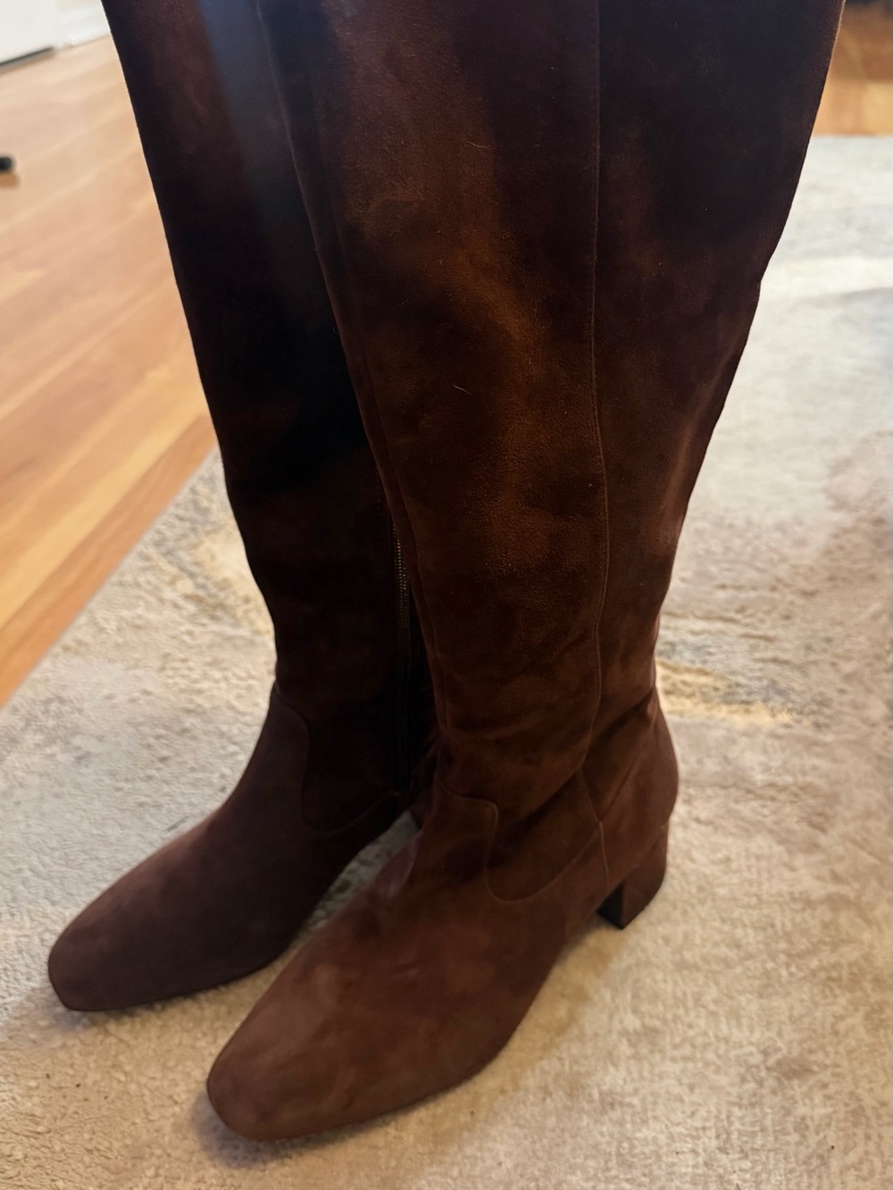 Alex Marie Tall Suede Knee Boots in Dark Brown